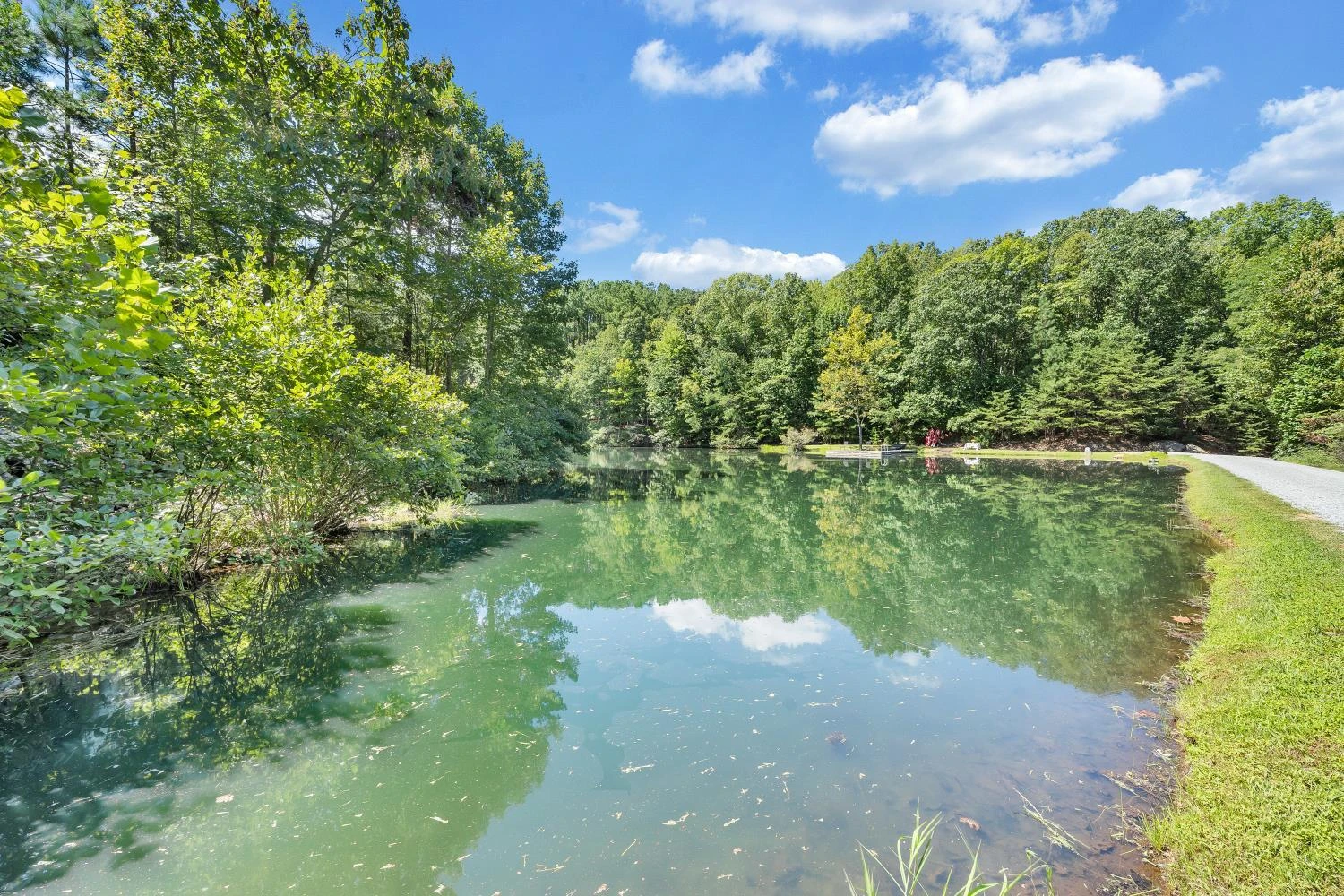 4344 Smith Mountain Road RD - Photo 66