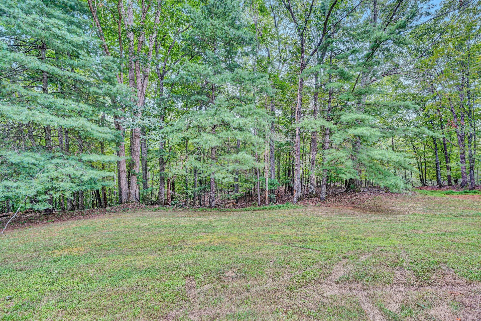 146 PINEVIEW DR - Photo 38