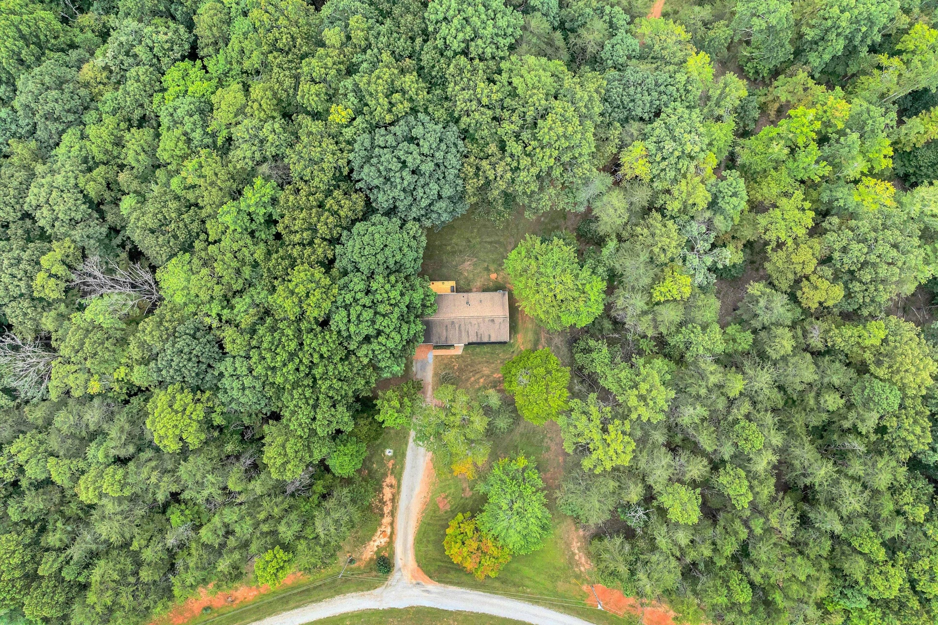 146 PINEVIEW DR - Photo 43