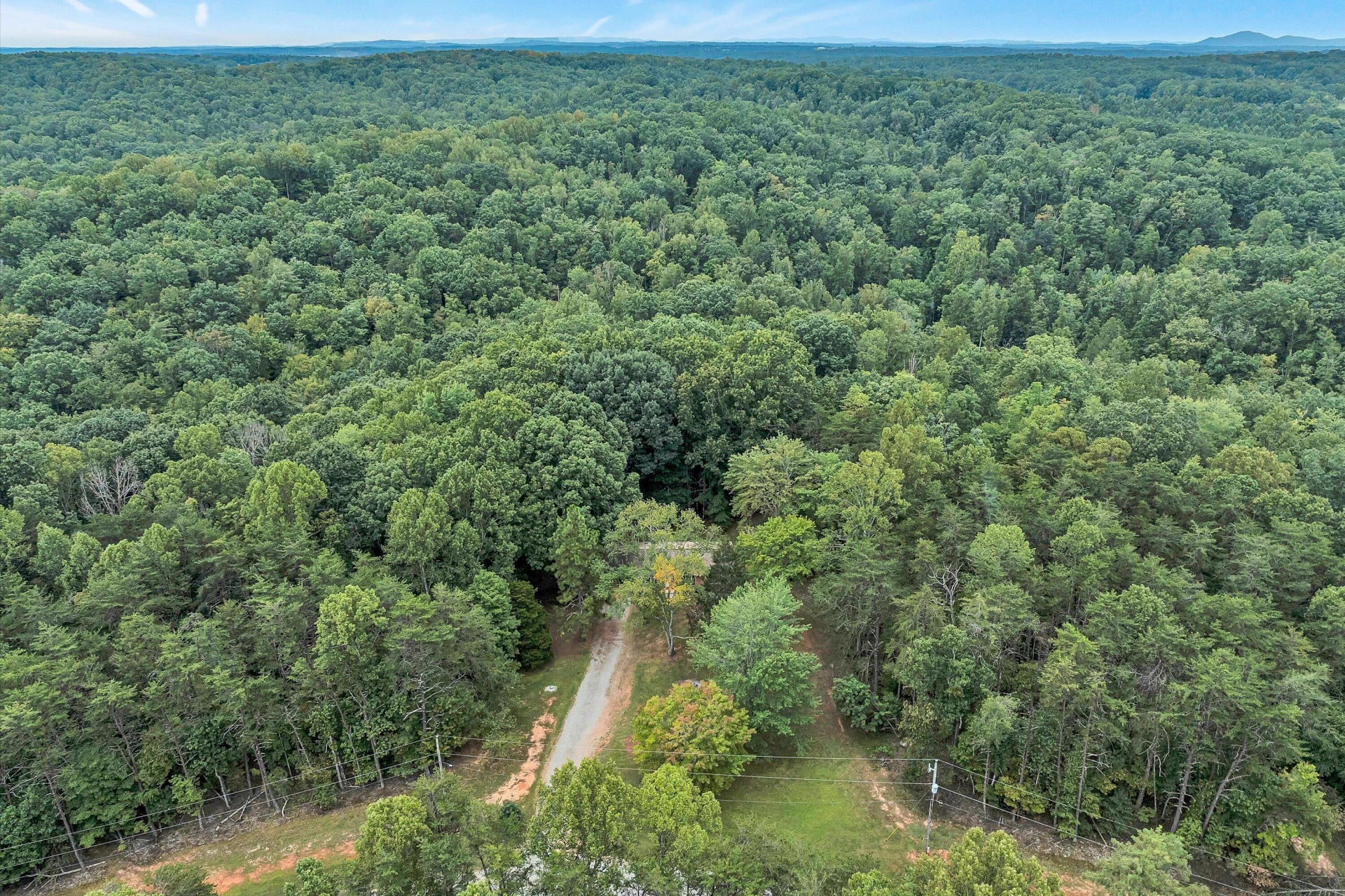 146 PINEVIEW DR - Photo 44