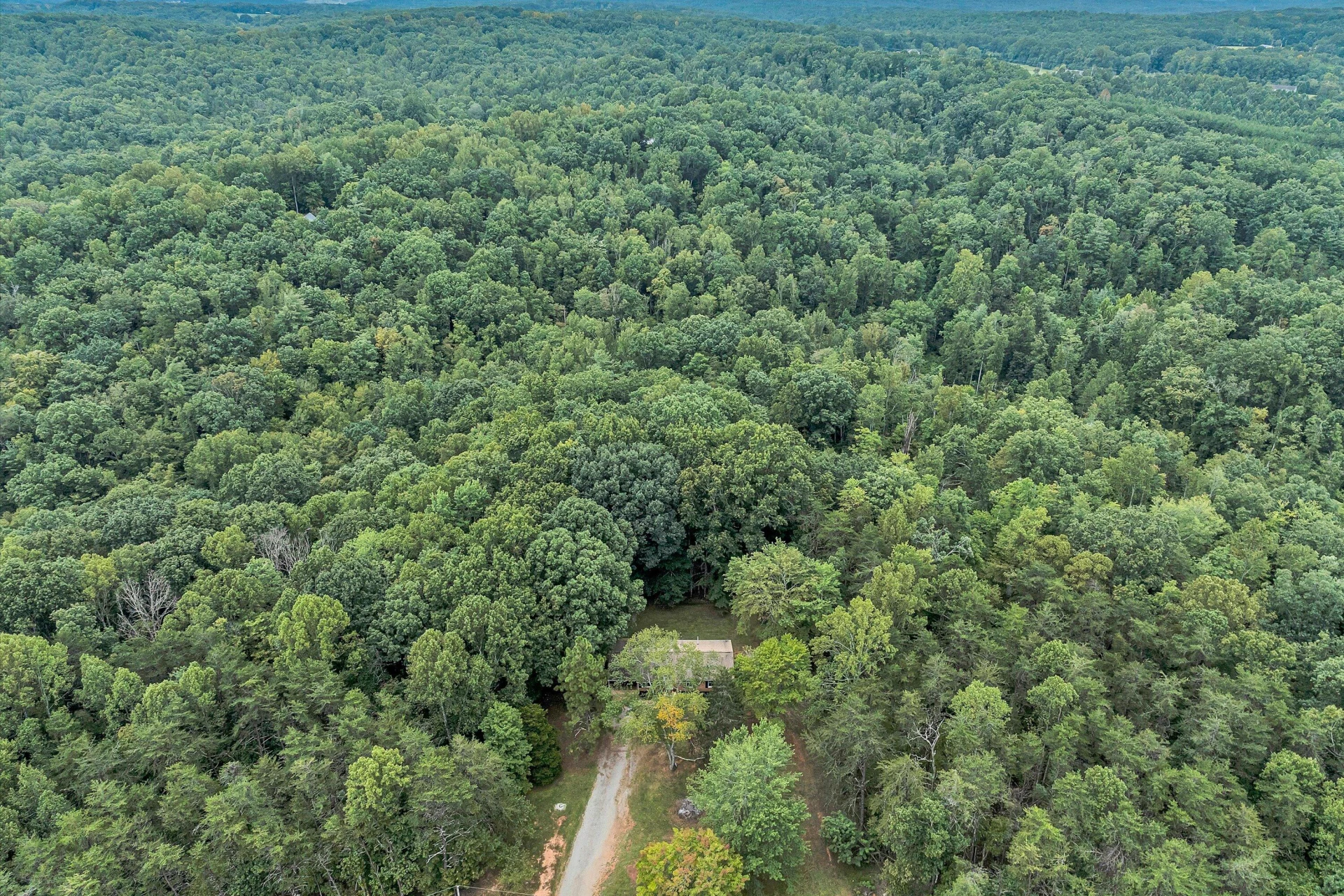146 PINEVIEW DR - Photo 45