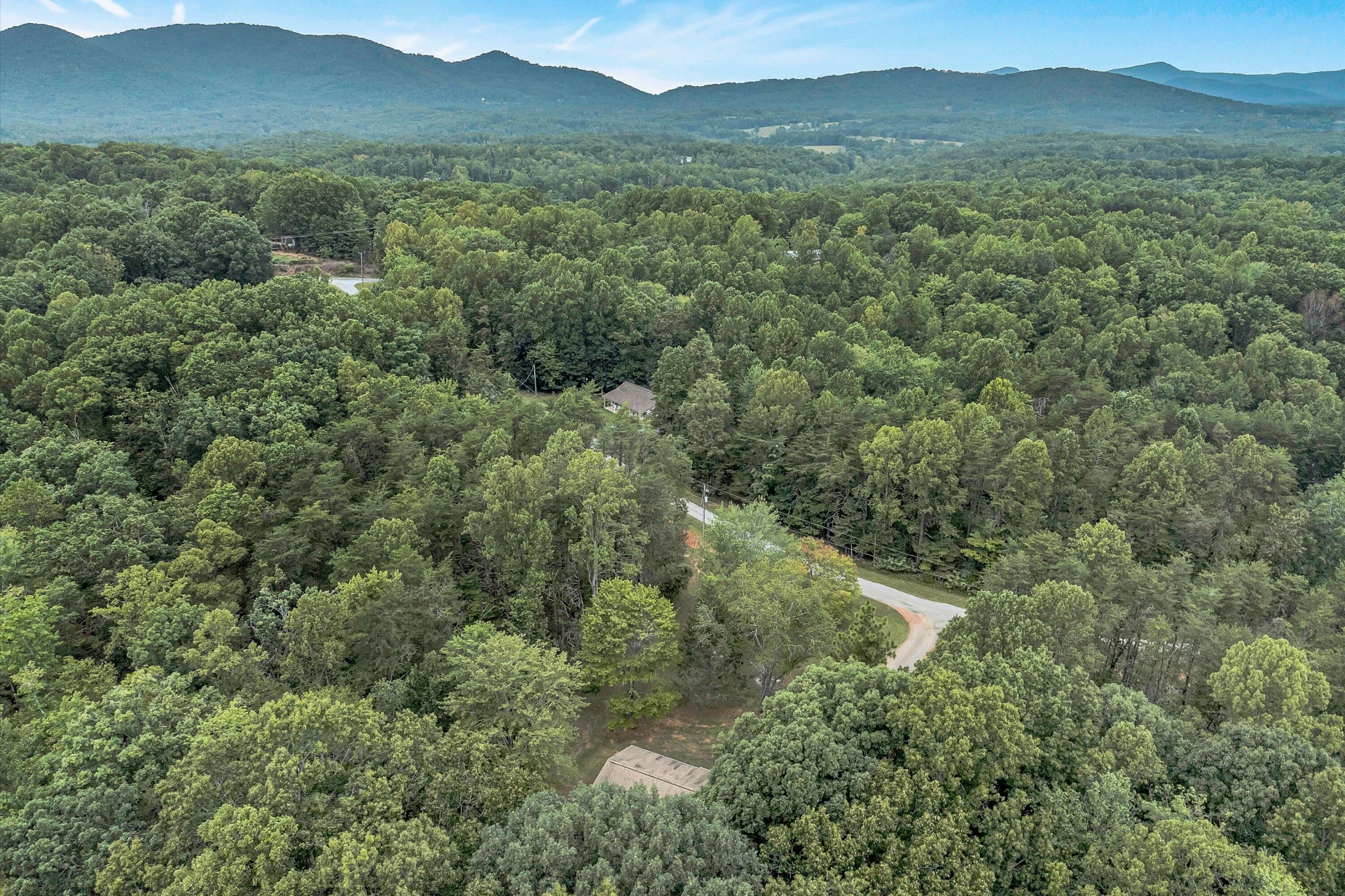 146 PINEVIEW DR - Photo 48