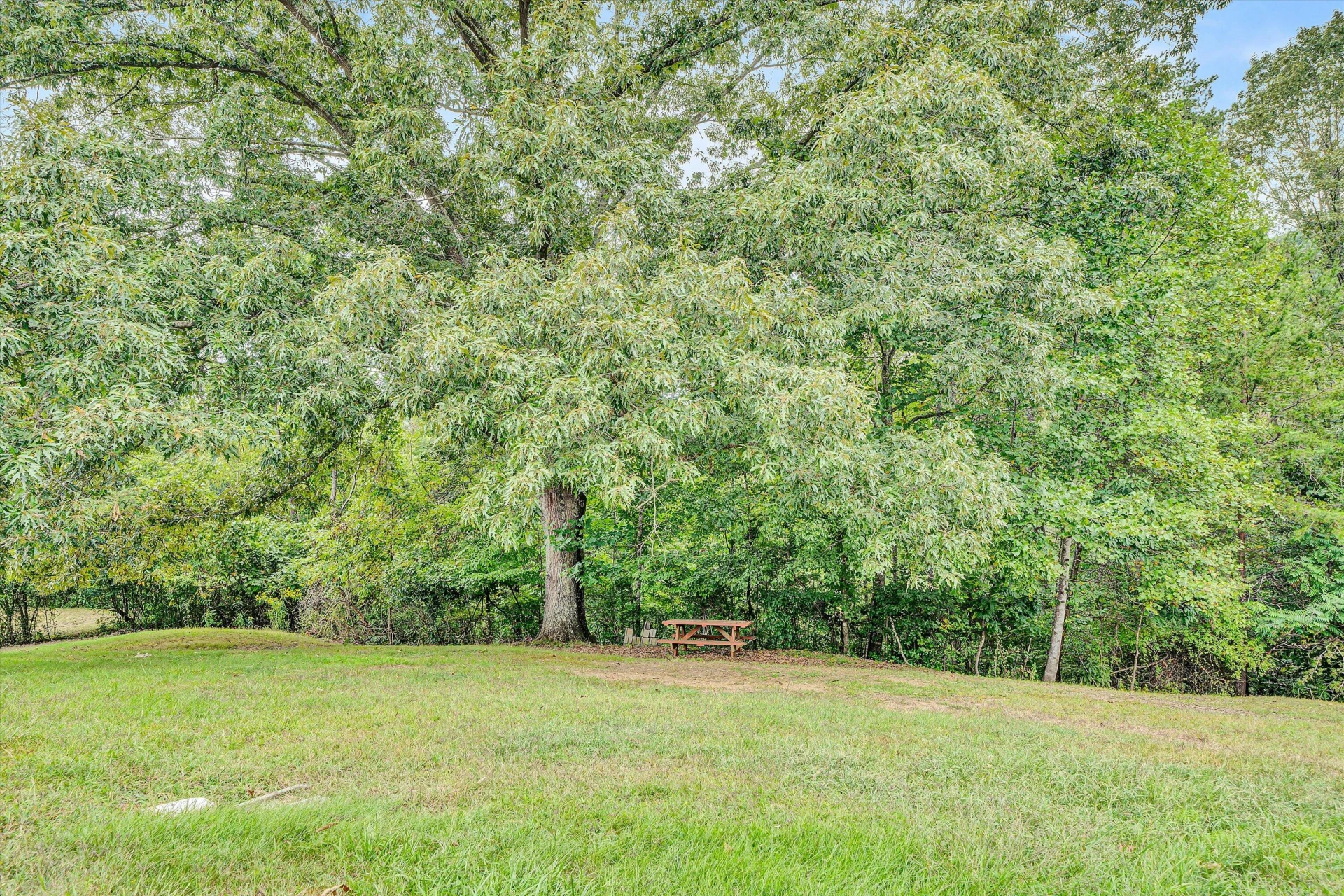 748 Shafer LN - Photo 39