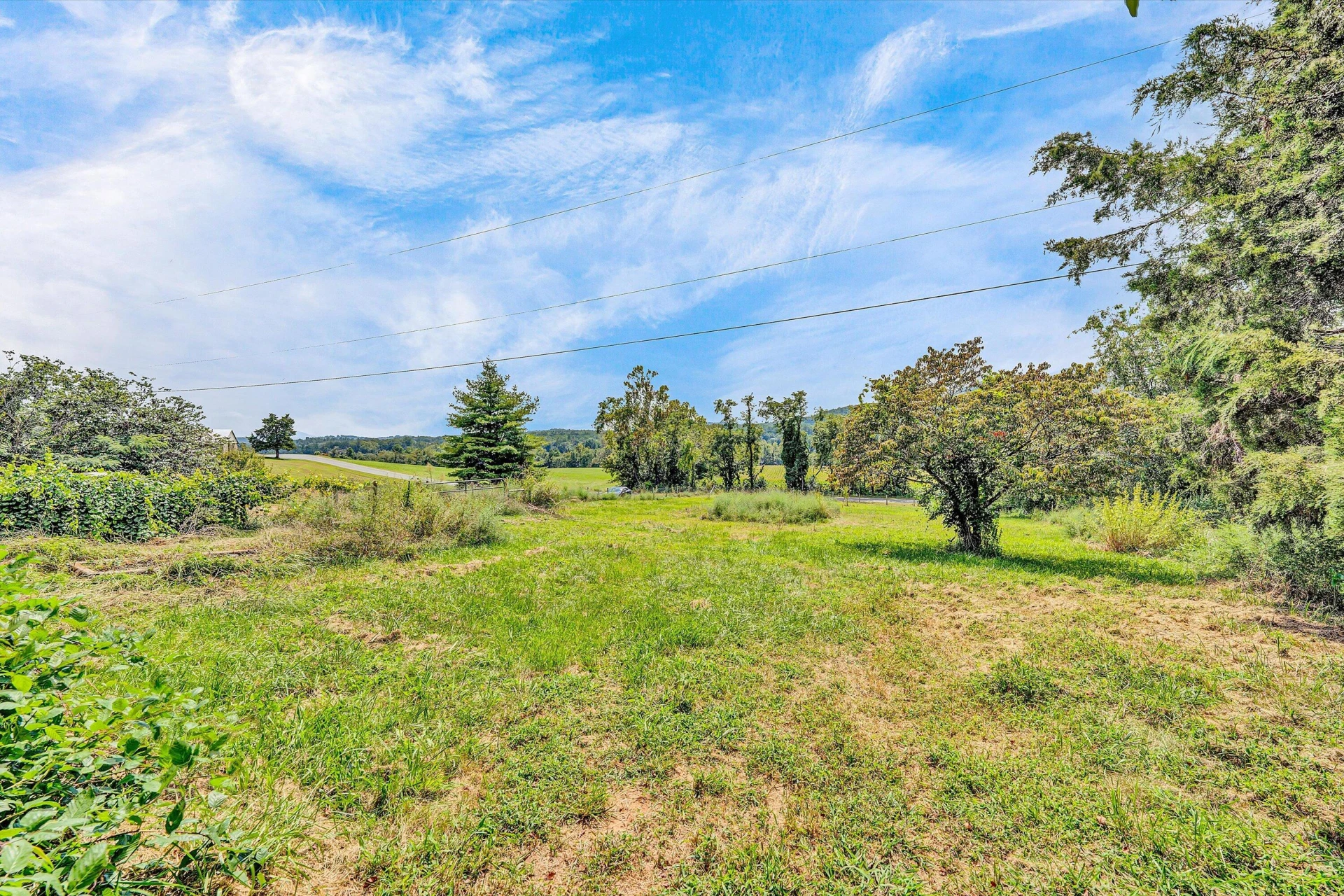 855 Algoma RD - Photo 3