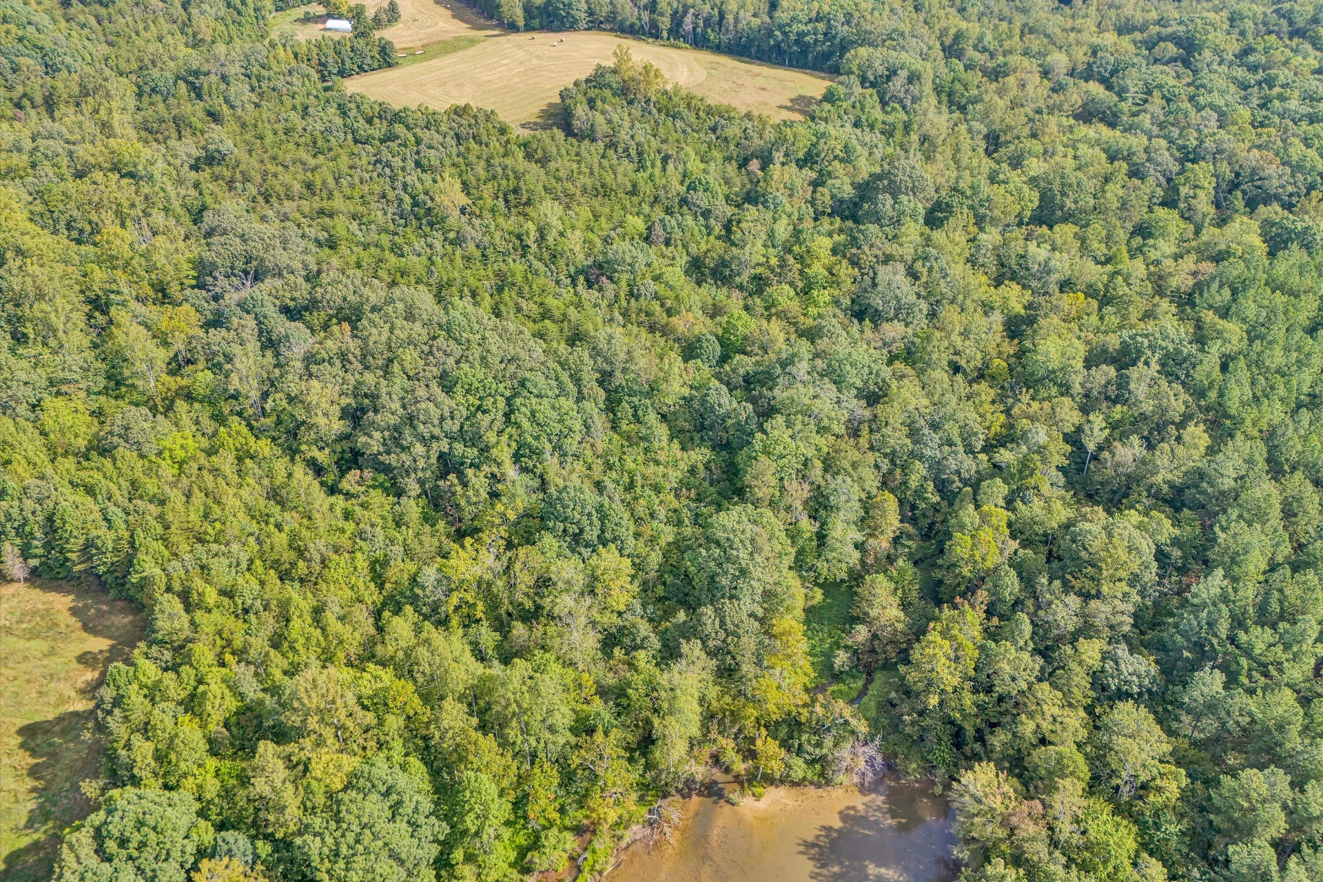 Tract 3 Pine Ridge RD - Photo 10
