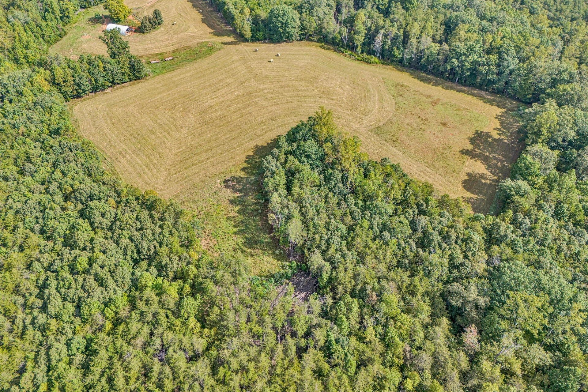 Tract 3 Pine Ridge RD - Photo 12