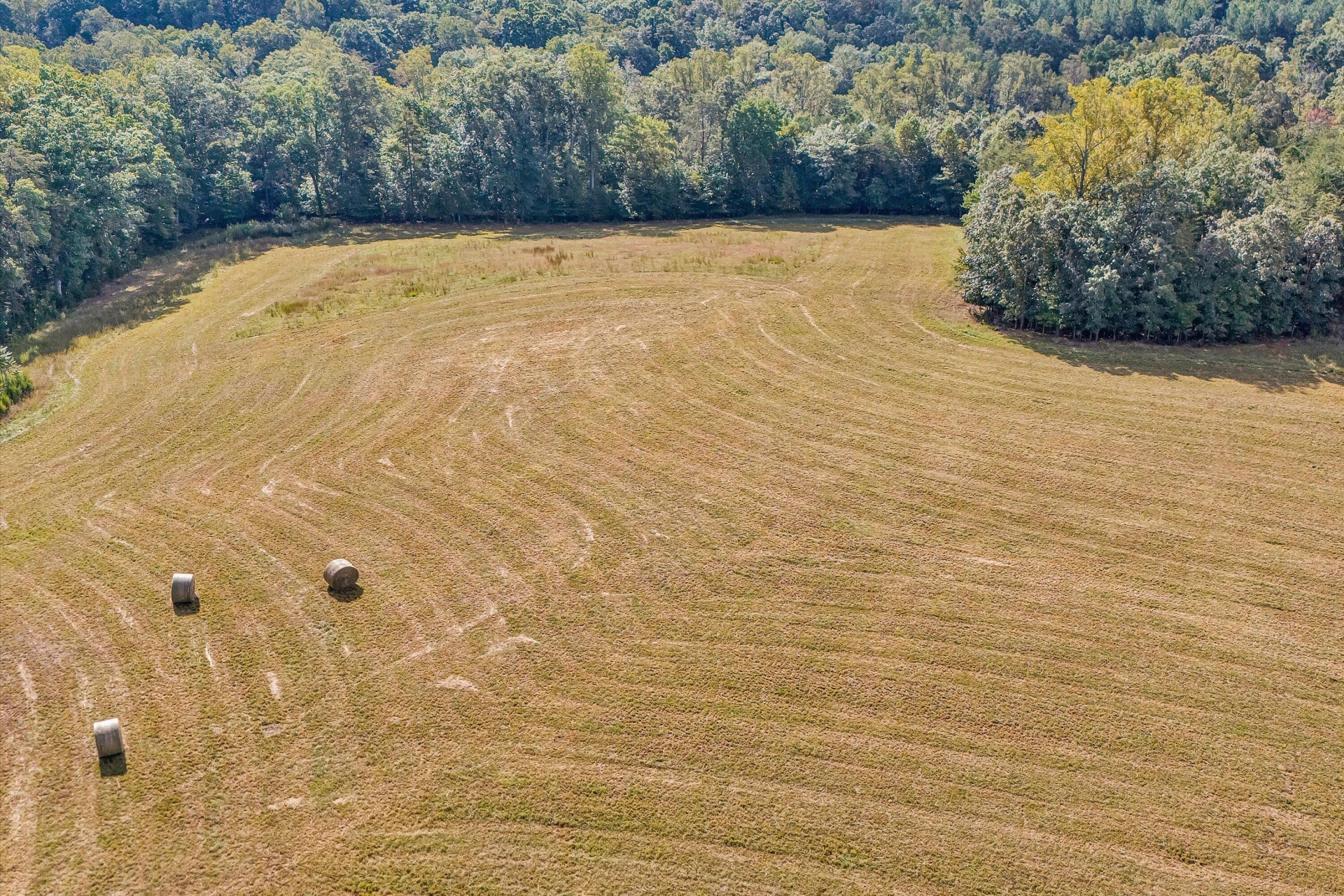 Tract 3 Pine Ridge RD - Photo 8