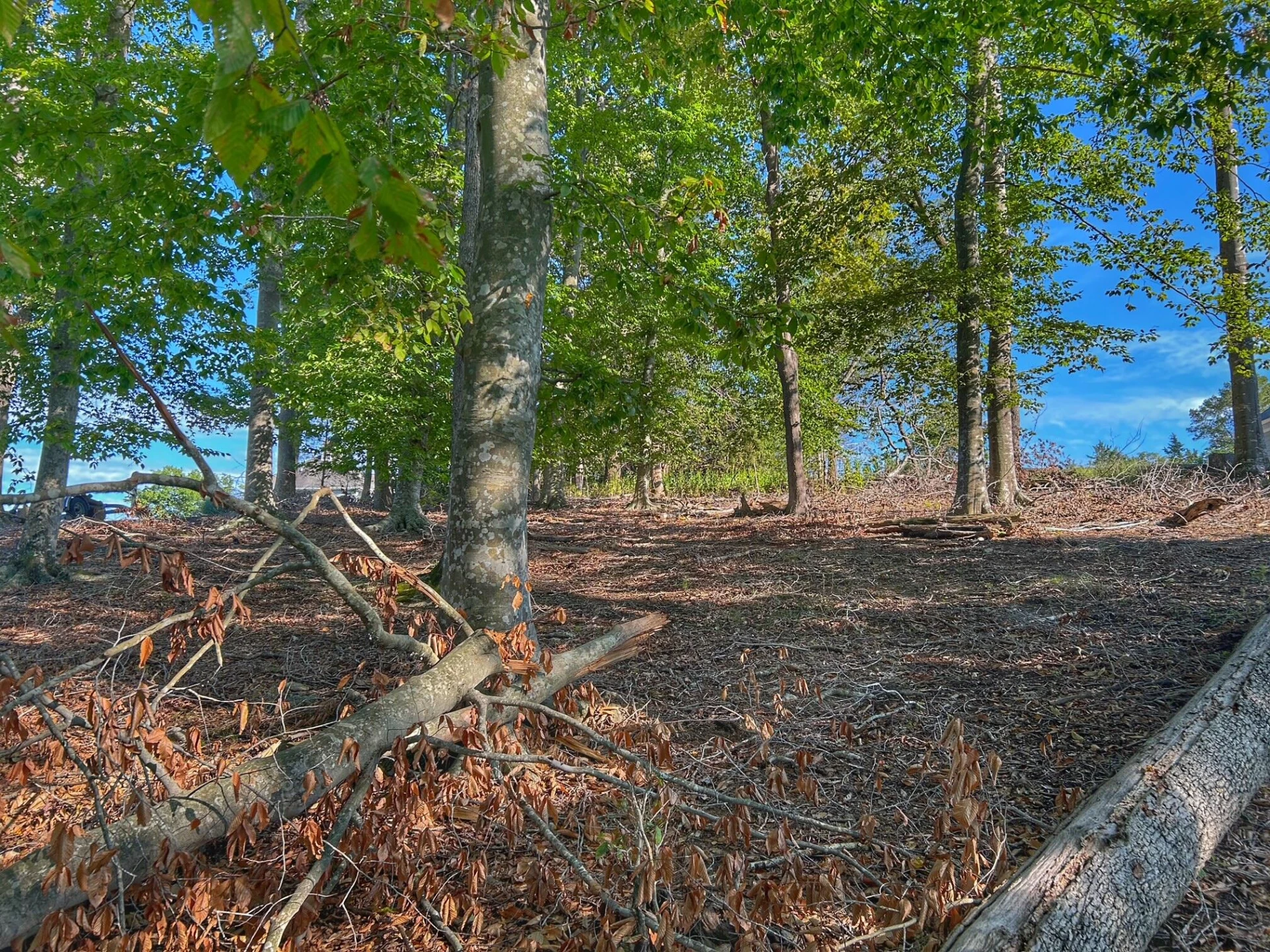 Lot 20 Augusta WAY - Photo 10