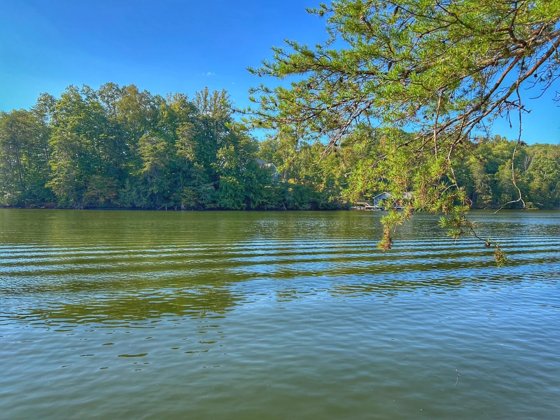 Lot 20 Augusta WAY - Photo 11