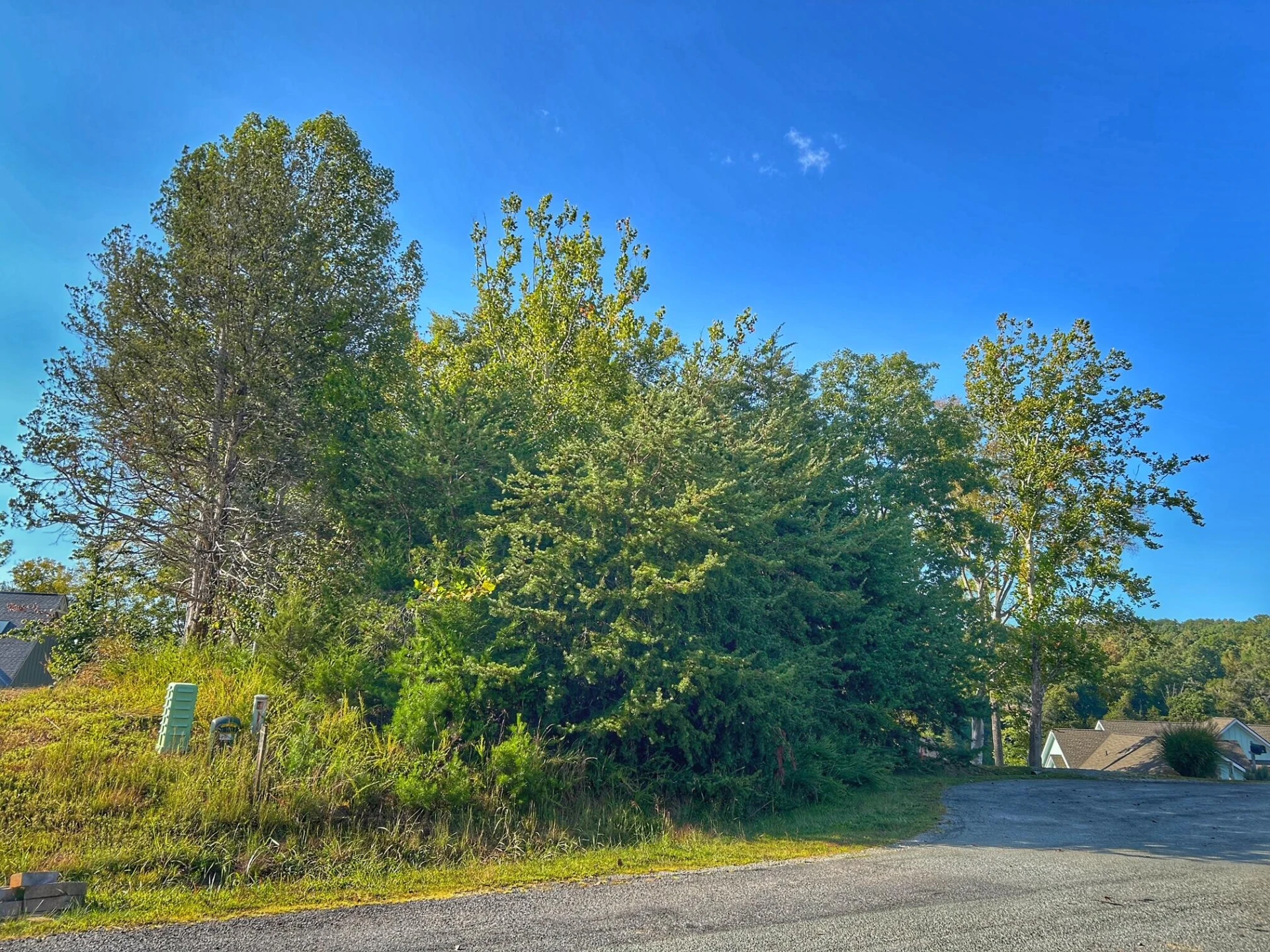 Lot 20 Augusta WAY - Photo 15