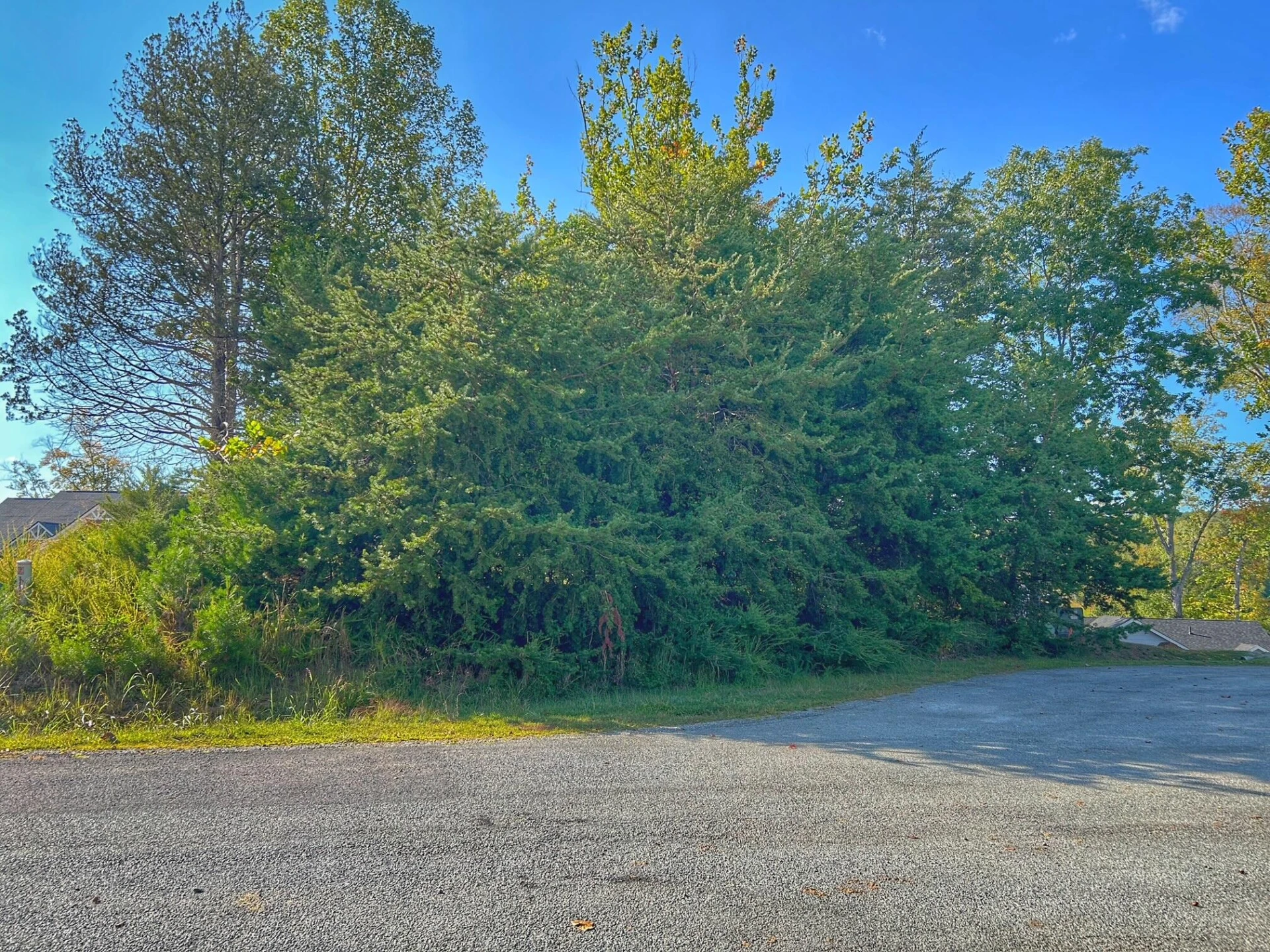 Lot 20 Augusta WAY - Photo 16