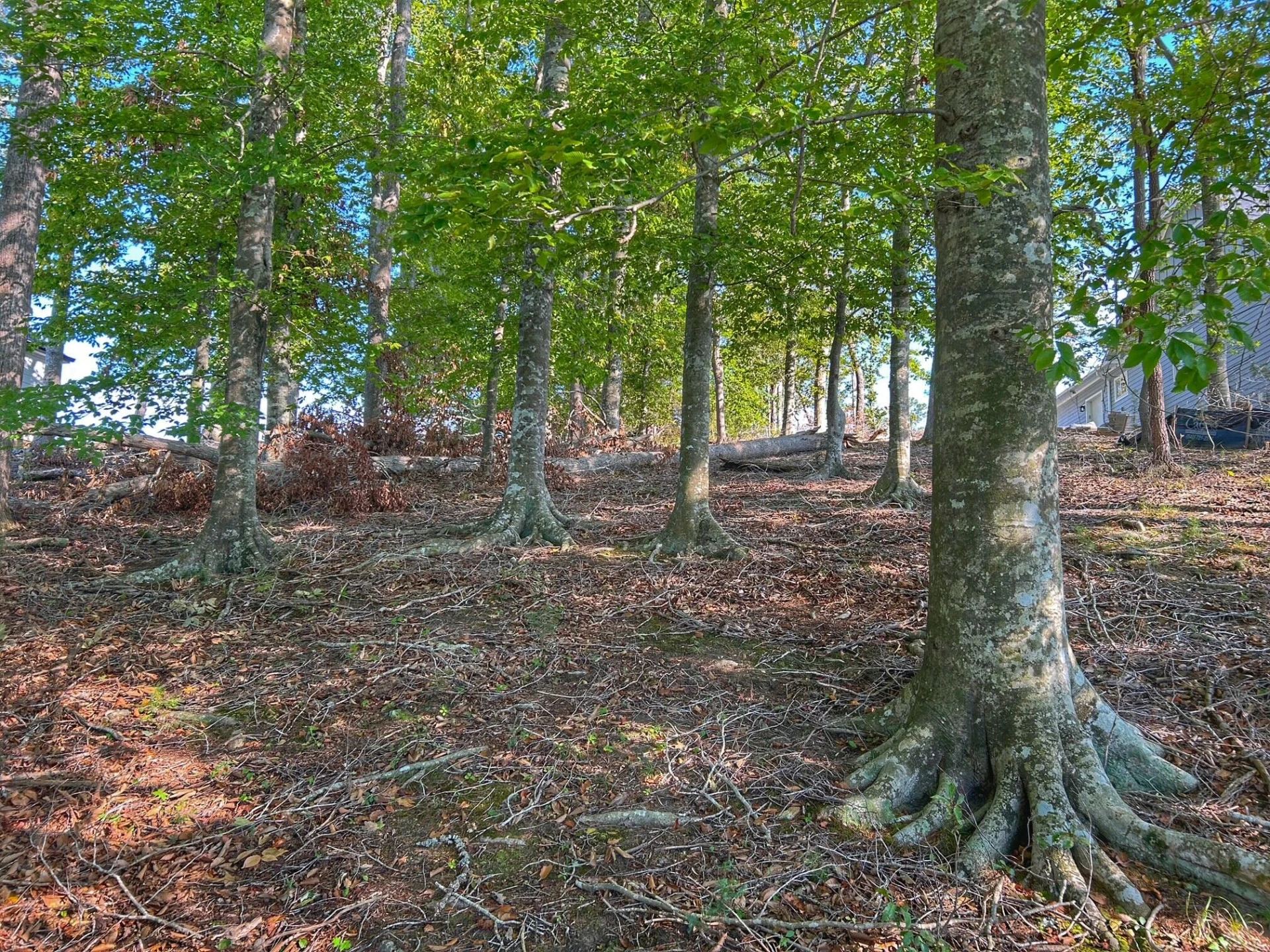 Lot 20 Augusta WAY - Photo 9