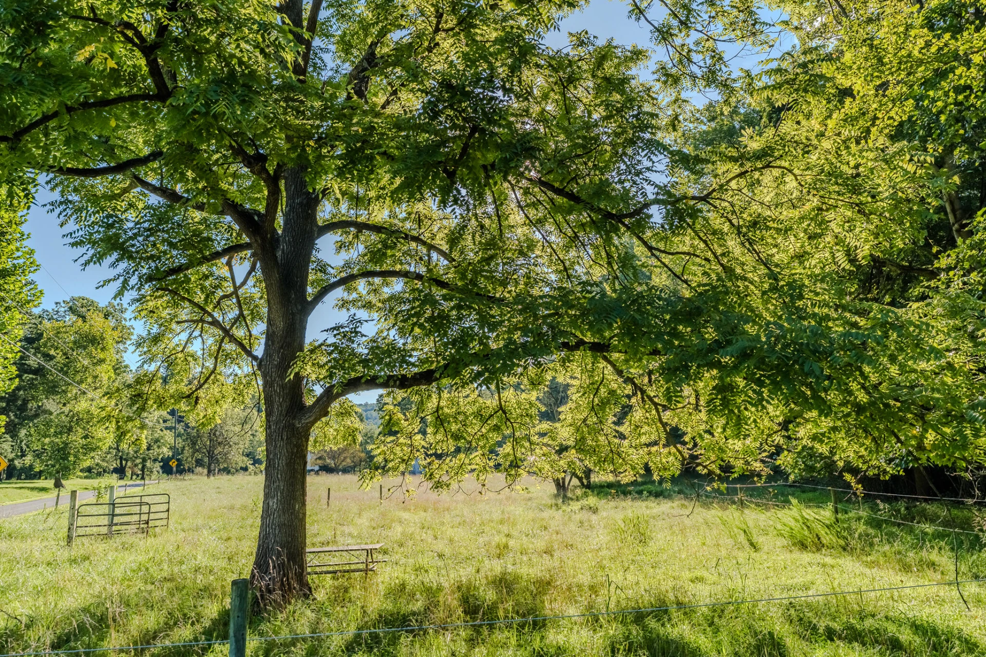 5502 Ridgelea RD - Photo 10
