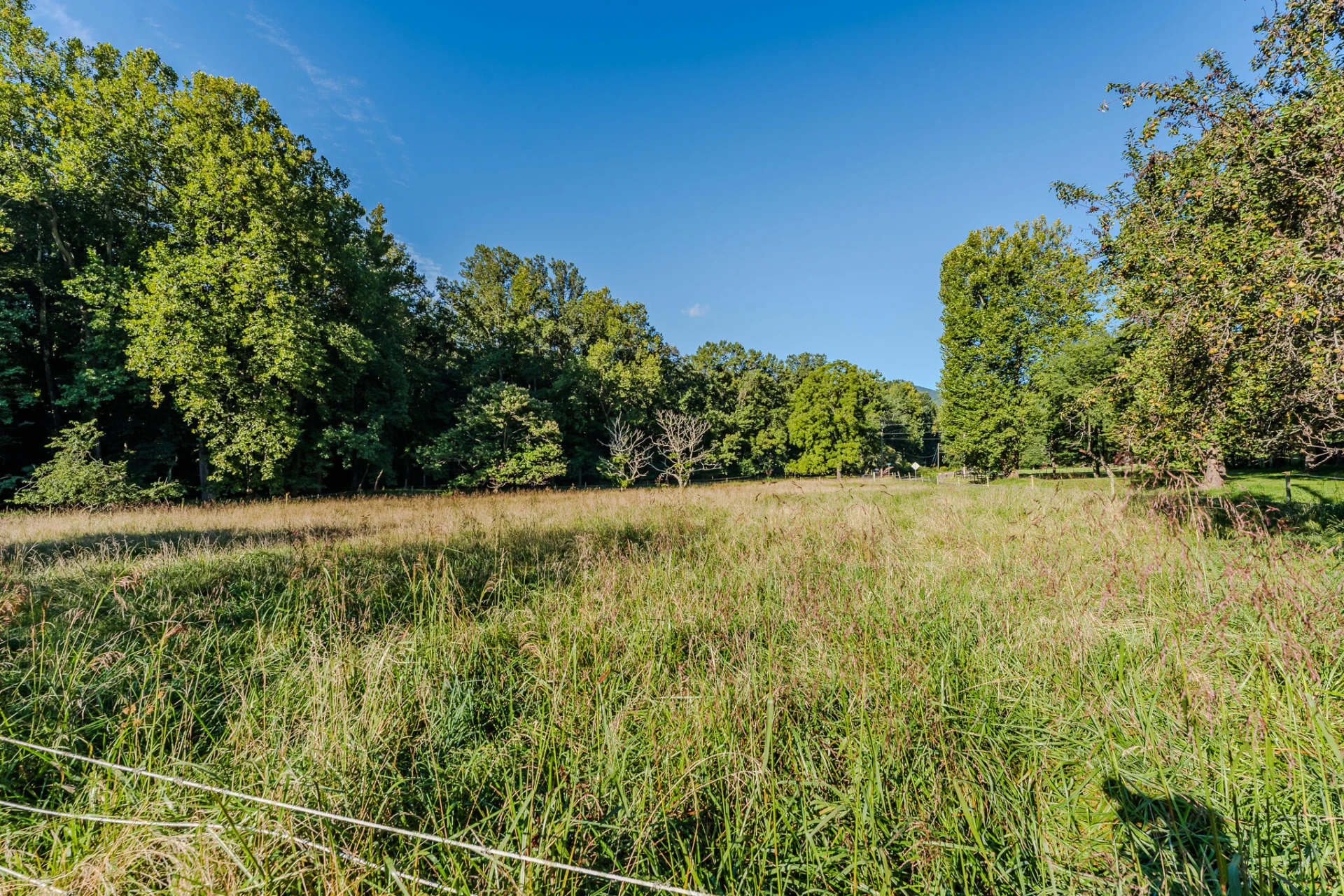 5502 Ridgelea RD - Photo 30