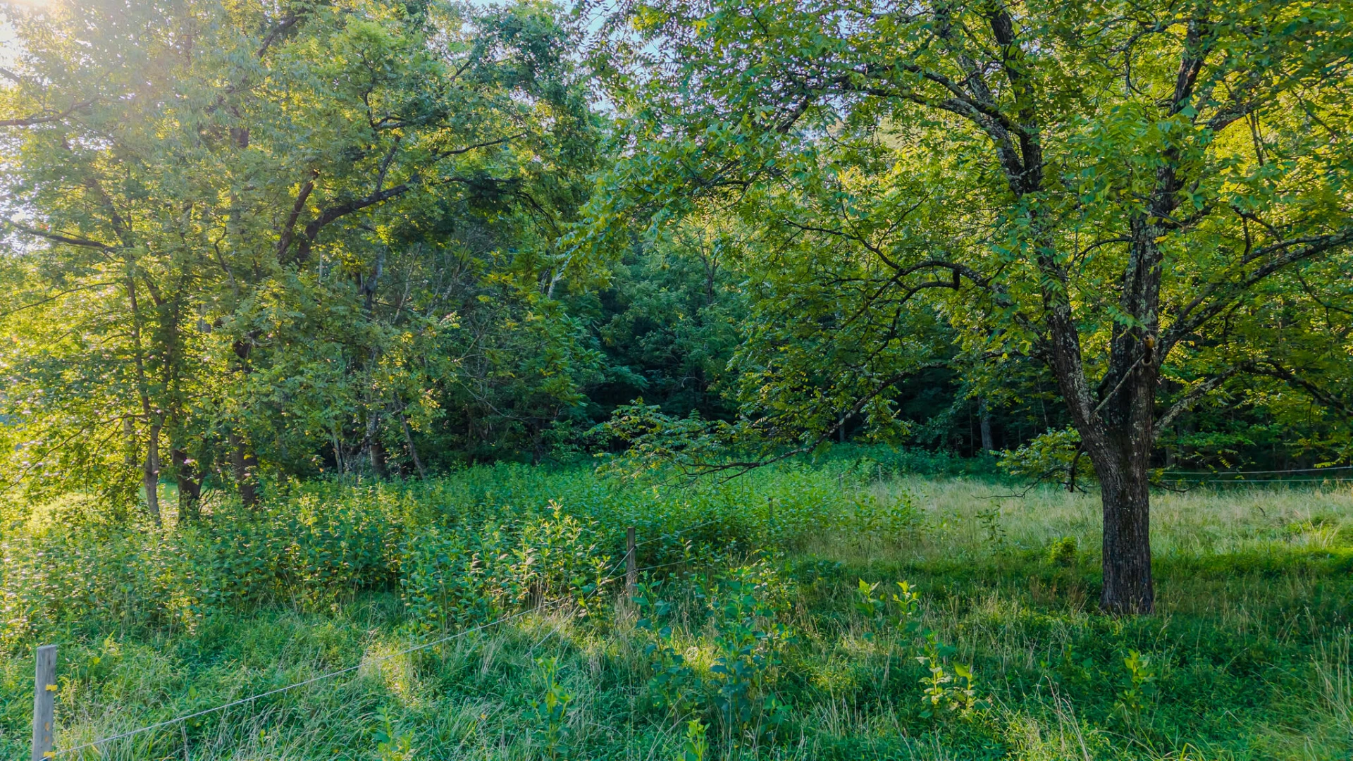 5502 Ridgelea RD - Photo 37
