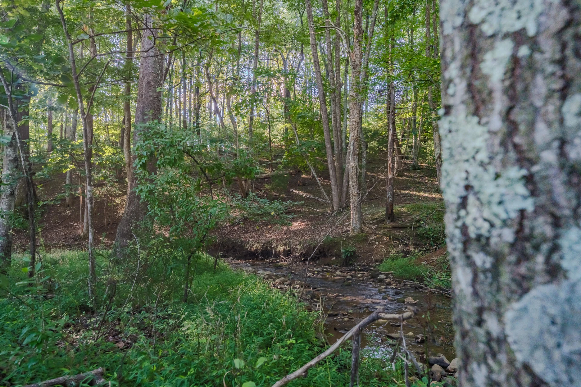 5502 Ridgelea RD - Photo 4