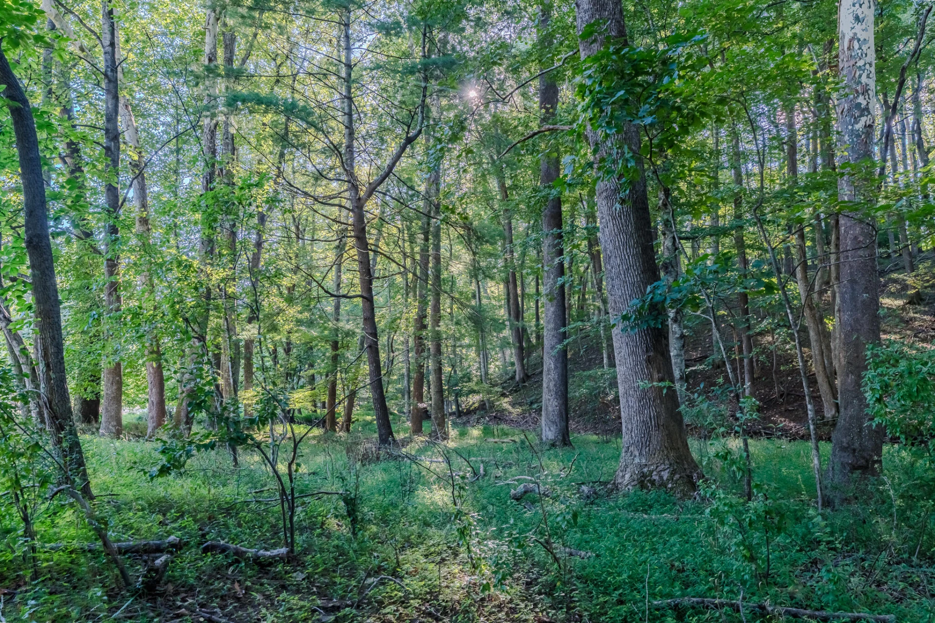 5502 Ridgelea RD - Photo 6