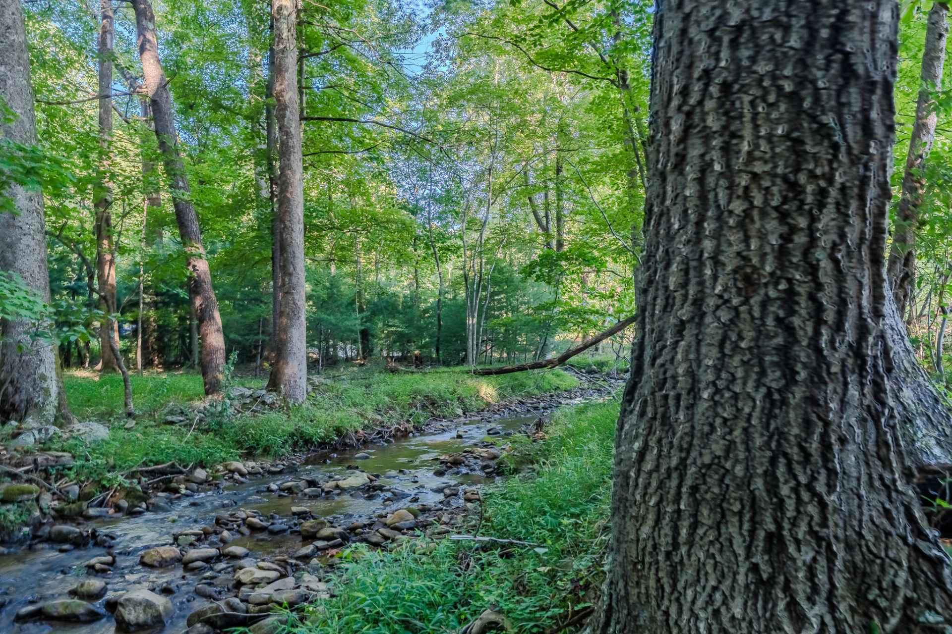 5502 Ridgelea RD - Photo 8