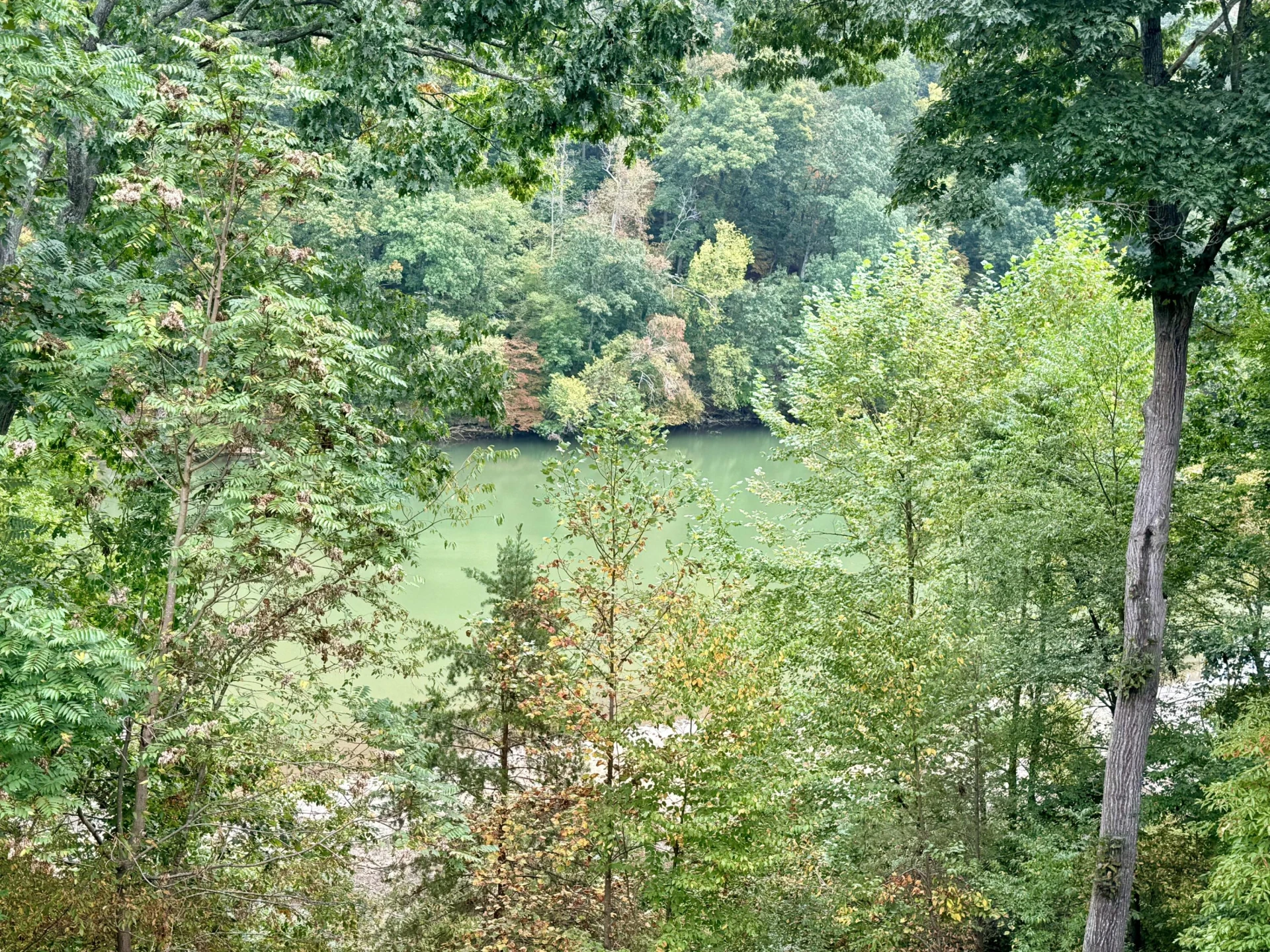674 Lakeshore Terrace RD - Photo 20