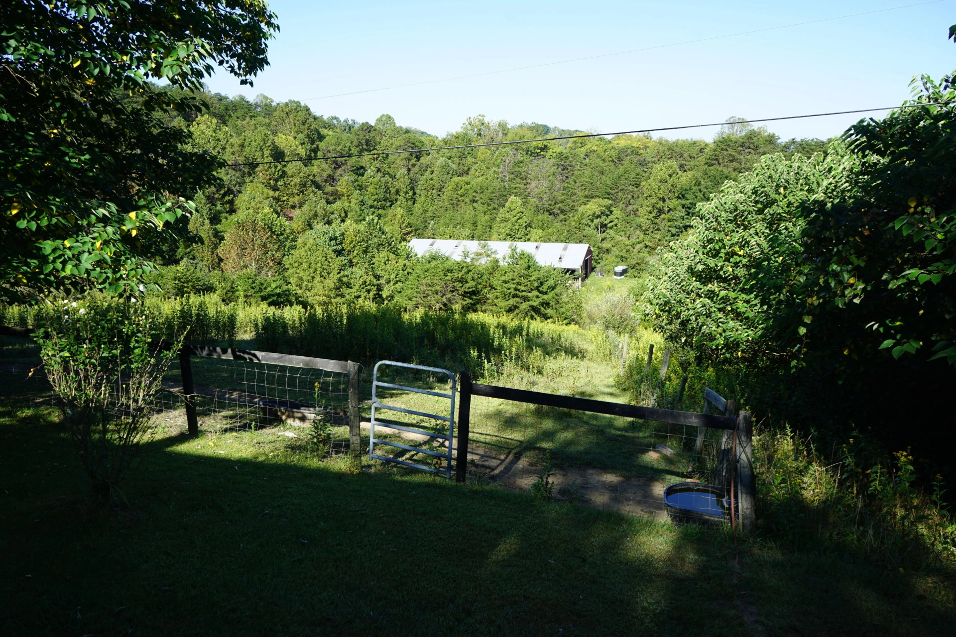 805 Longfield RD - Photo 55