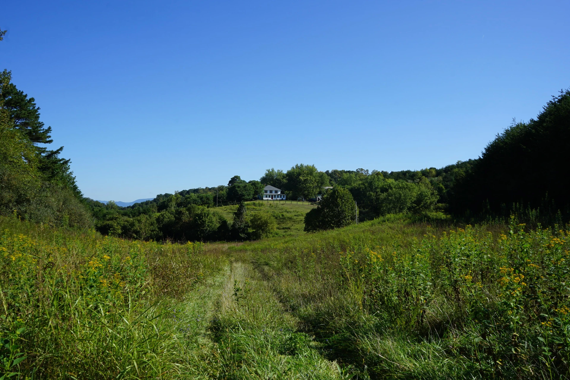 805 Longfield RD - Photo 75