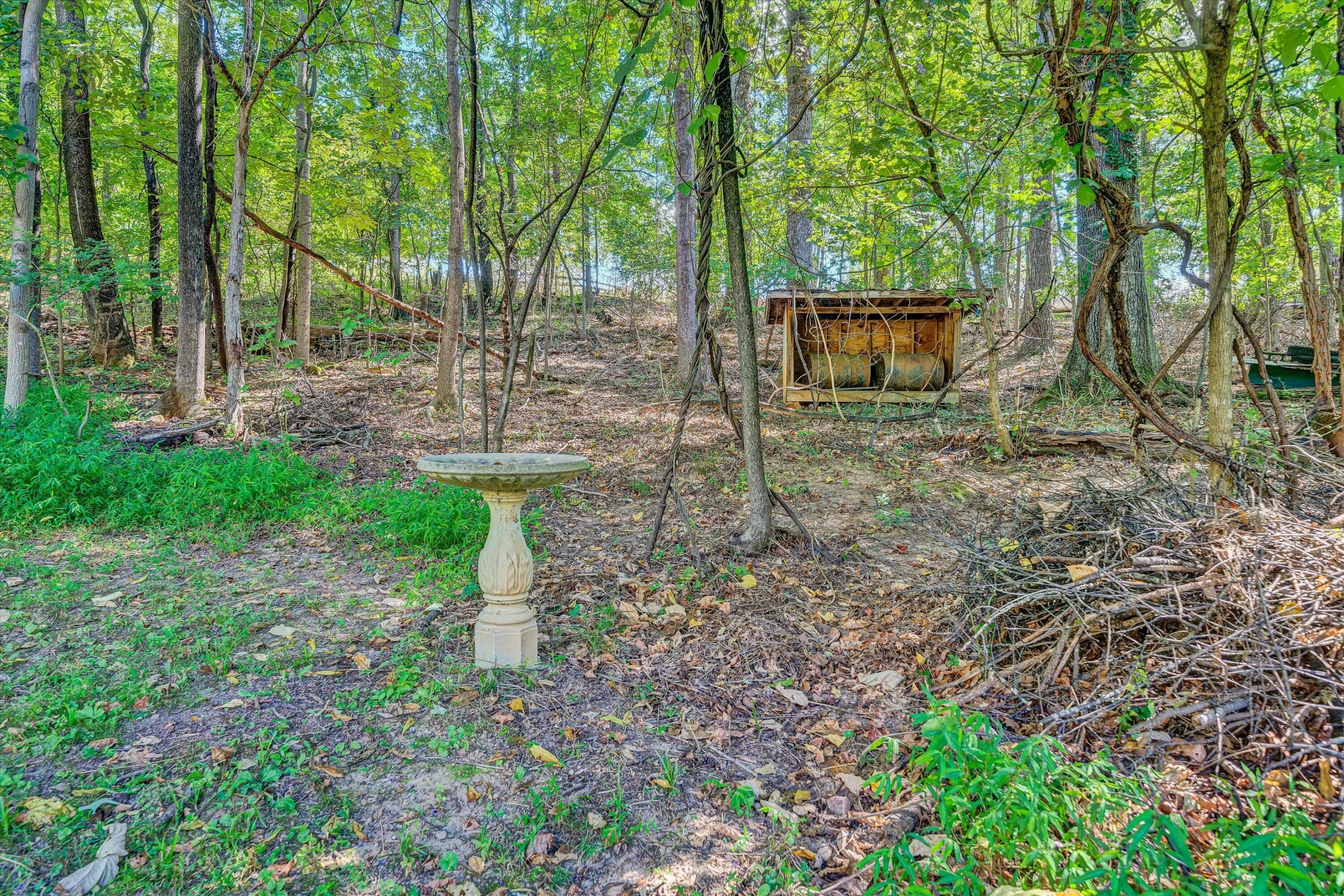 640 Dawnridge LN - Photo 33