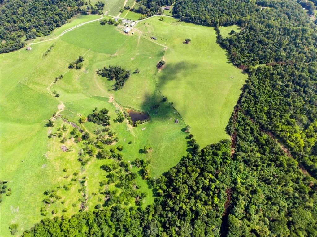 TBD Dry Branch RD - Photo 11