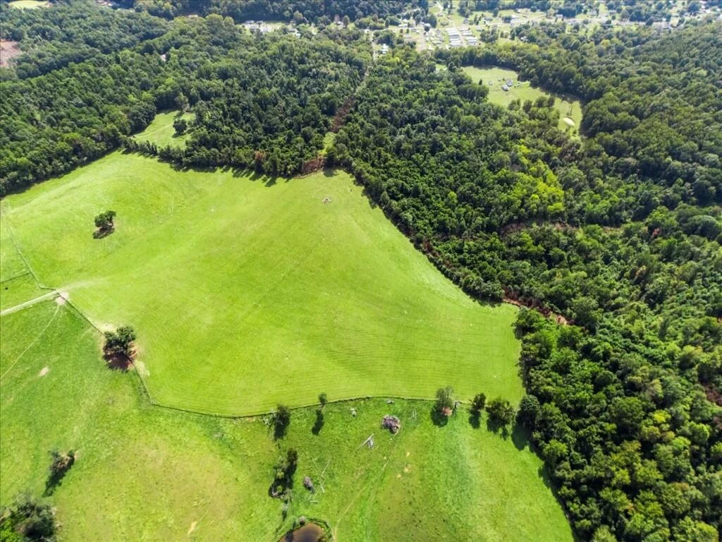 TBD Dry Branch RD - Photo 13