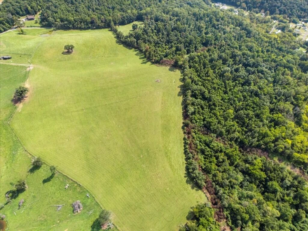 TBD Dry Branch RD - Photo 14