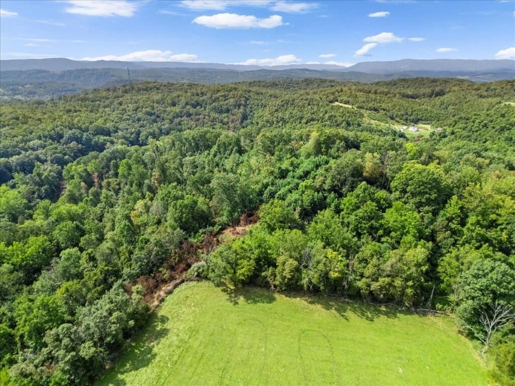 TBD Dry Branch RD - Photo 16
