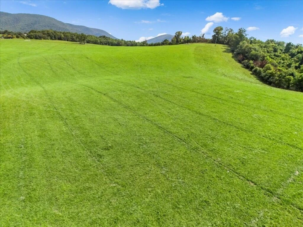 TBD Dry Branch RD - Photo 17