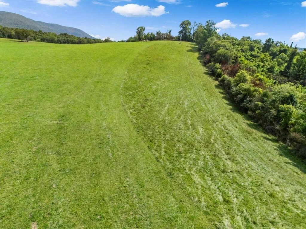 TBD Dry Branch RD - Photo 18
