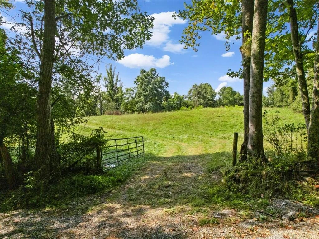 TBD Dry Branch RD - Photo 2