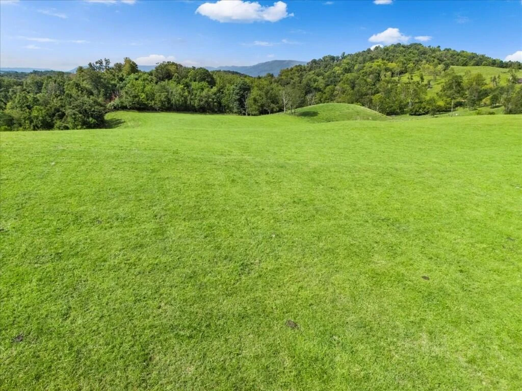 TBD Dry Branch RD - Photo 21