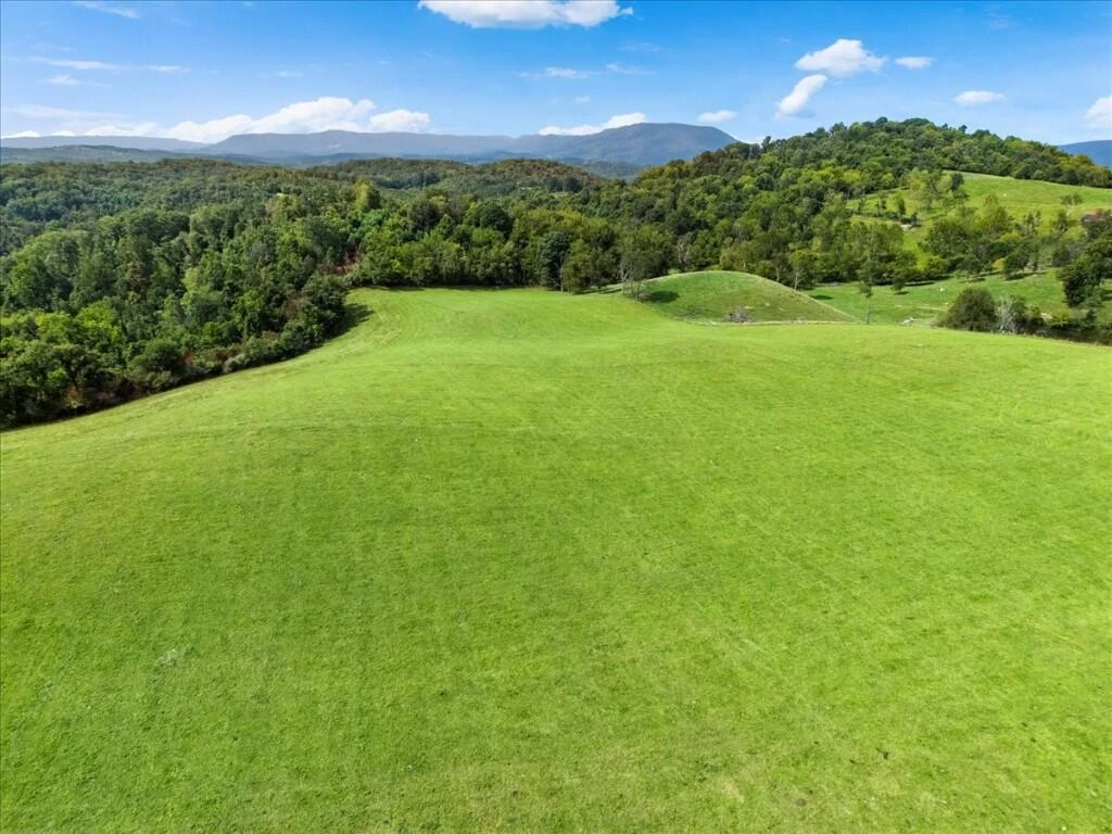 TBD Dry Branch RD - Photo 25
