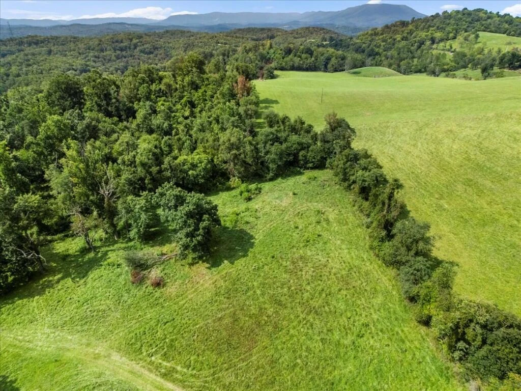 TBD Dry Branch RD - Photo 27