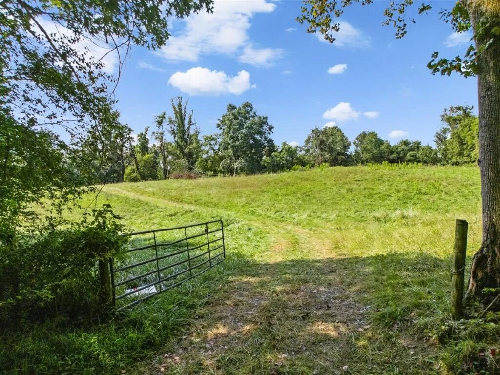 TBD Dry Branch RD - Photo 3