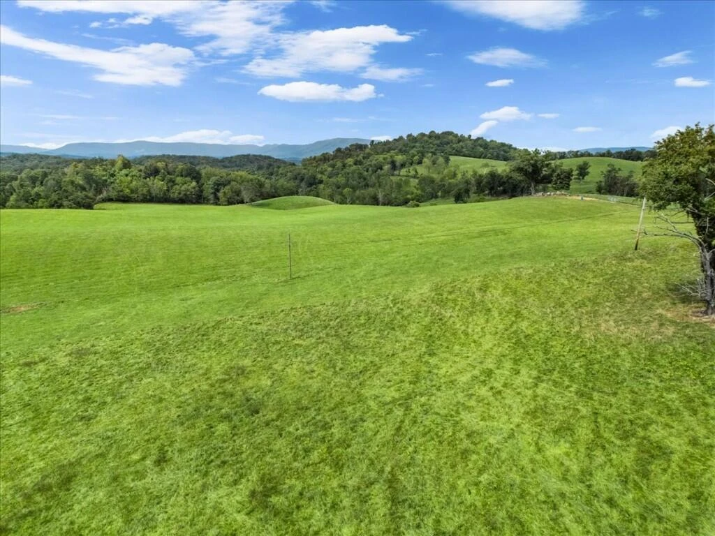TBD Dry Branch RD - Photo 30