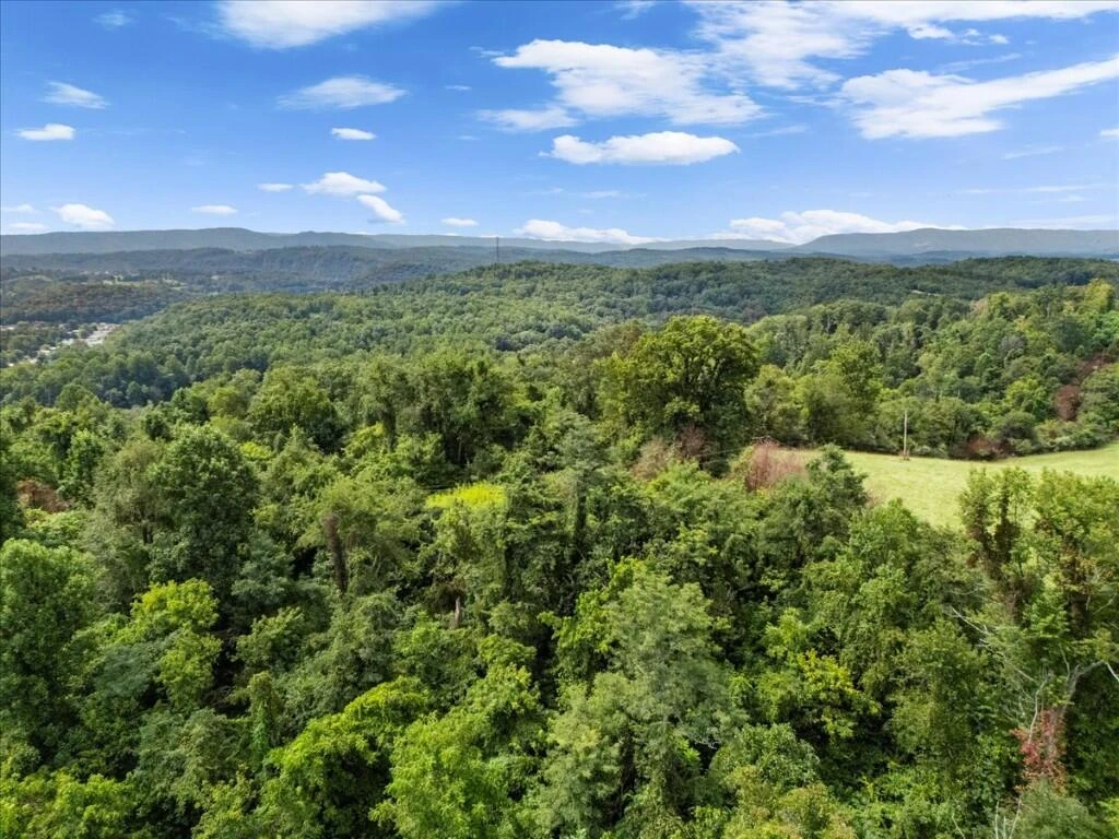TBD Dry Branch RD - Photo 32