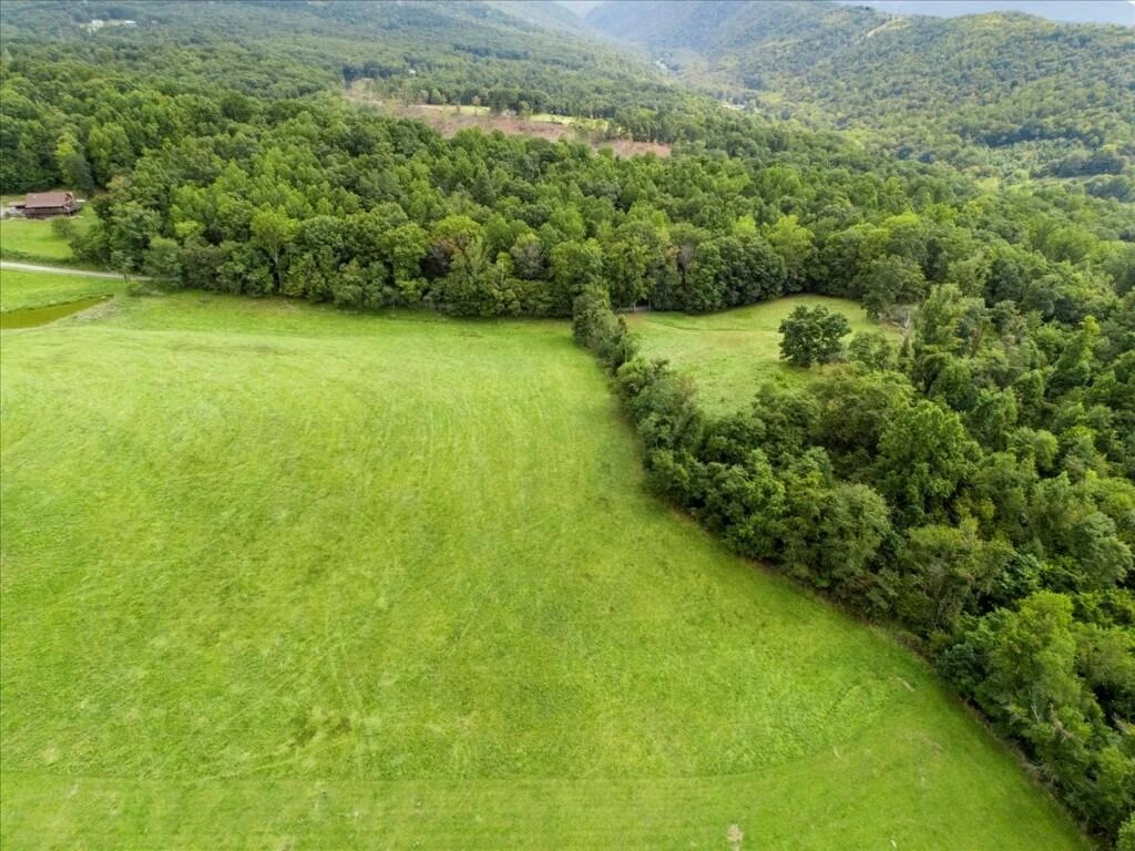 TBD Dry Branch RD - Photo 36