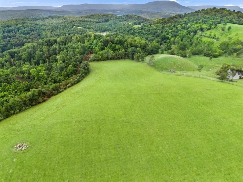 TBD Dry Branch RD - Photo 37