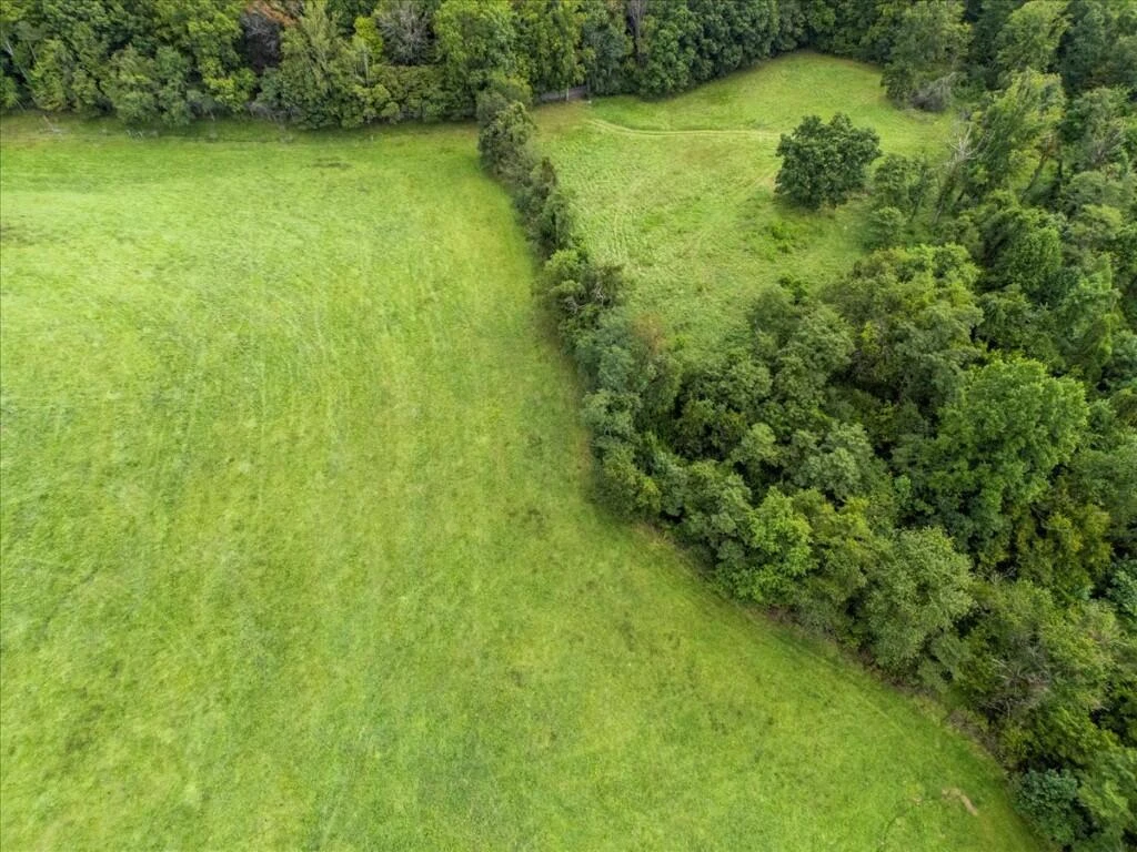 TBD Dry Branch RD - Photo 39