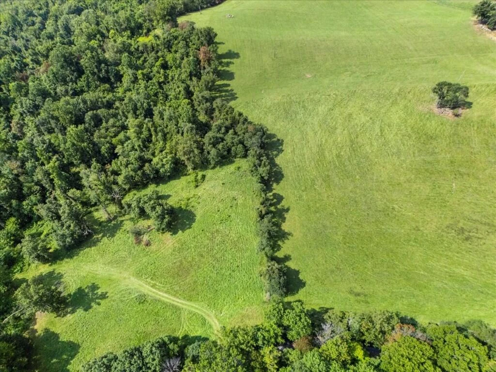 TBD Dry Branch RD - Photo 4