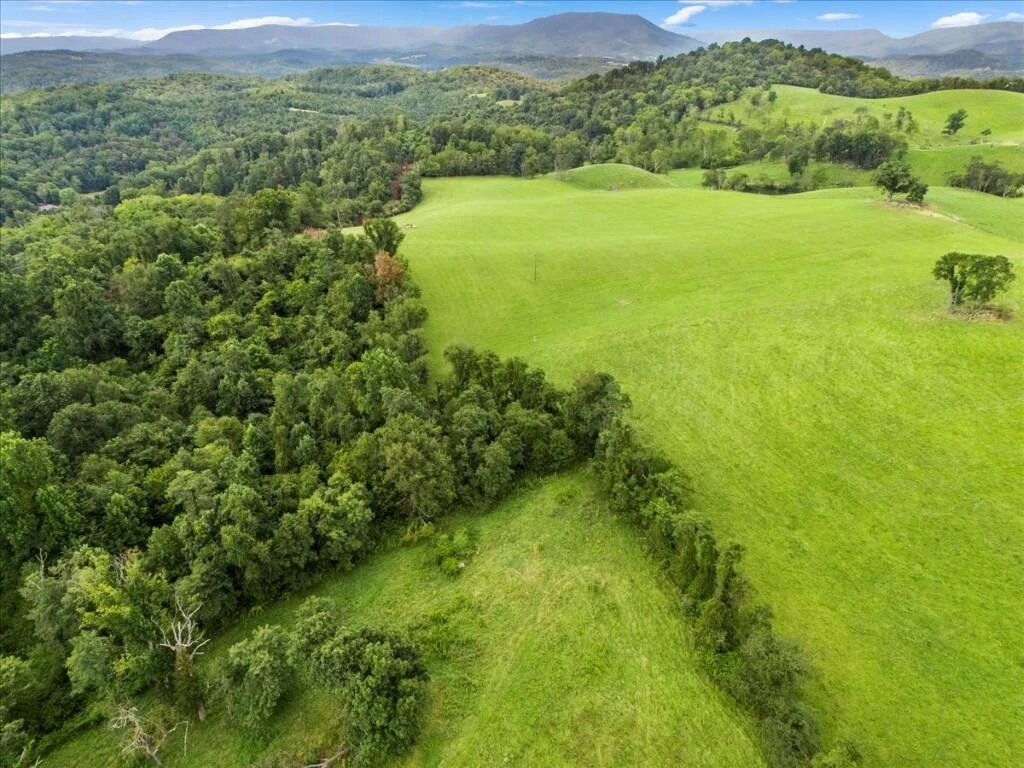 TBD Dry Branch RD - Photo 40