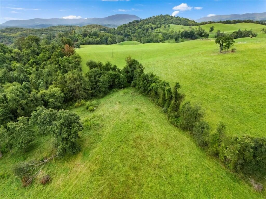 TBD Dry Branch RD - Photo 41