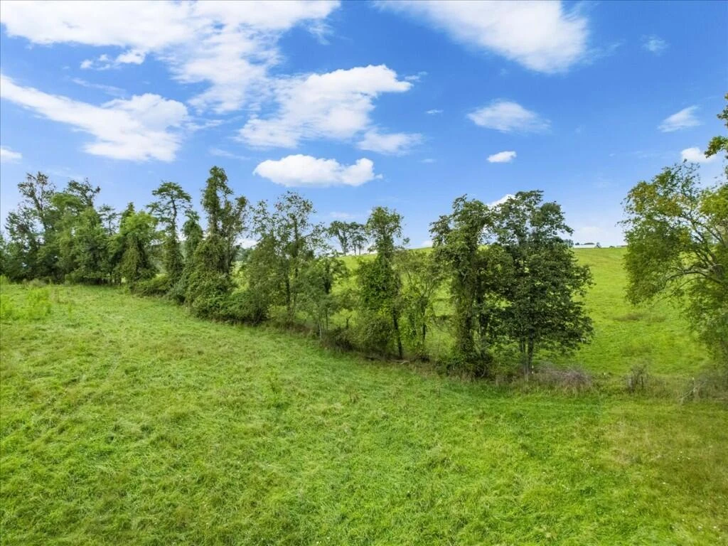 TBD Dry Branch RD - Photo 42