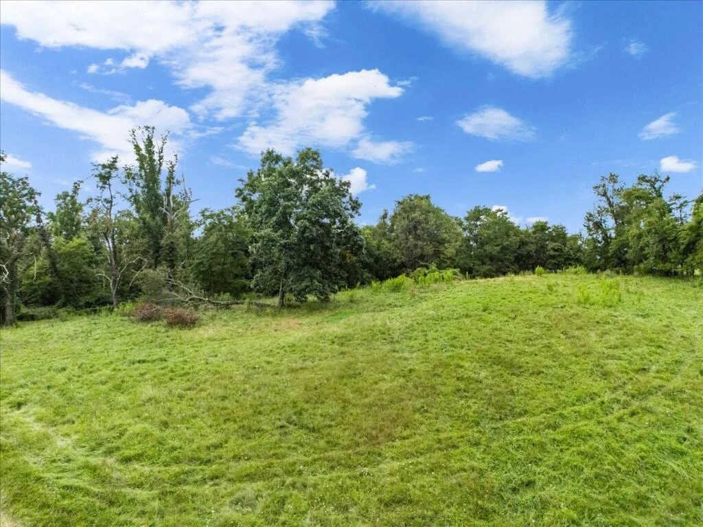TBD Dry Branch RD - Photo 43