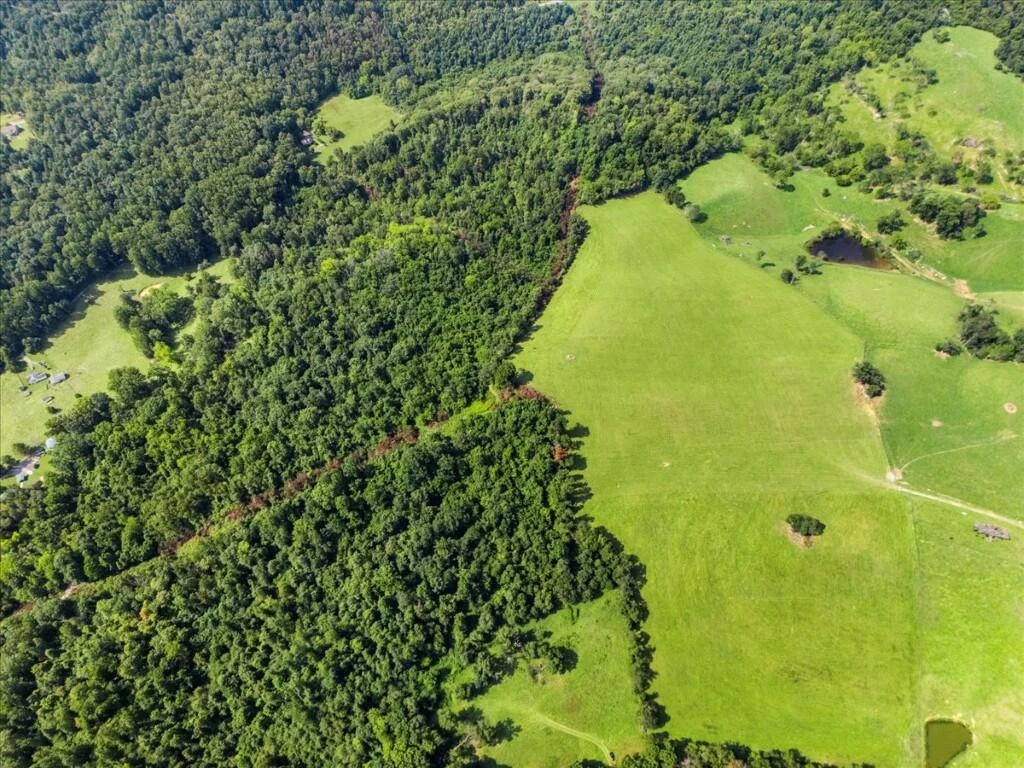 TBD Dry Branch RD - Photo 5