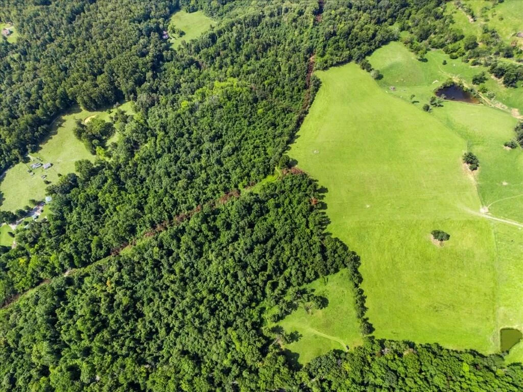 TBD Dry Branch RD - Photo 6
