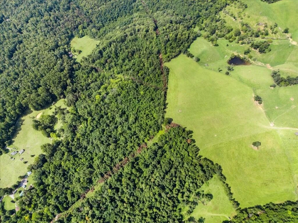 TBD Dry Branch RD - Photo 7